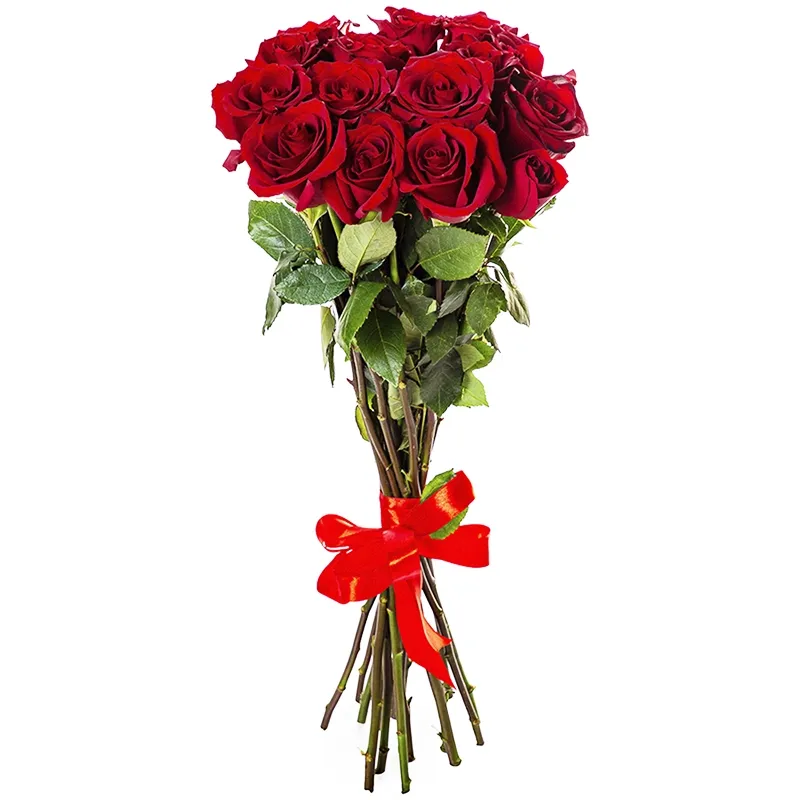 Букет из 15 метровых роз (100см)